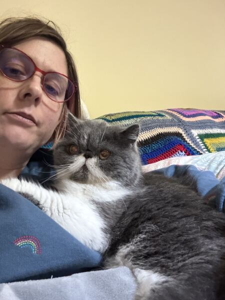 Pampered, Persian, Princess Penelope