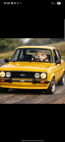 The Bluestocking - Best Pub on the Internet