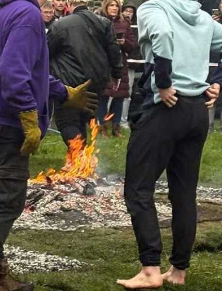 Carry On Catting - the Excellent Cats do what they do best