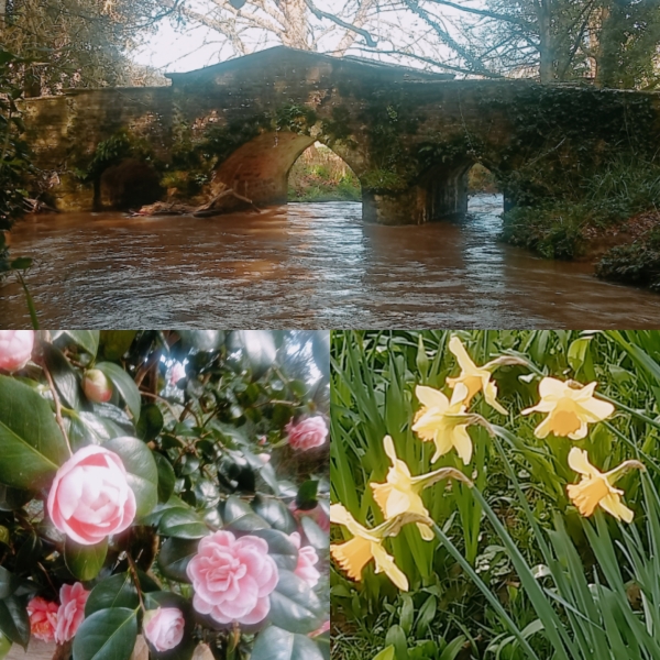 Year round Nigel Slater discussion thread - Part 3