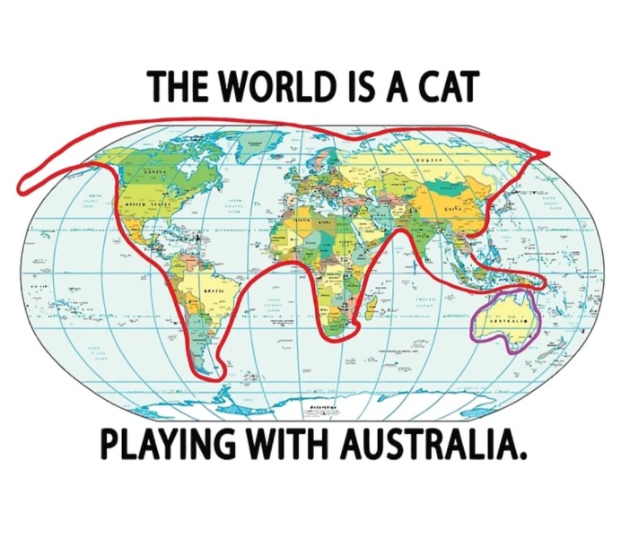New bf cat sit down- would this annoy you?