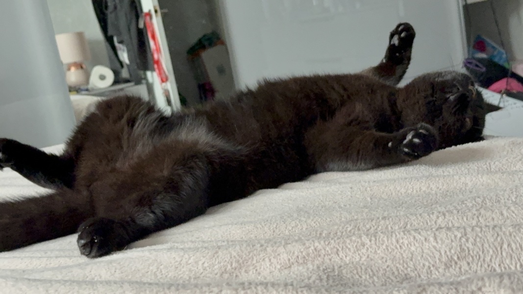 Hello from Charlie