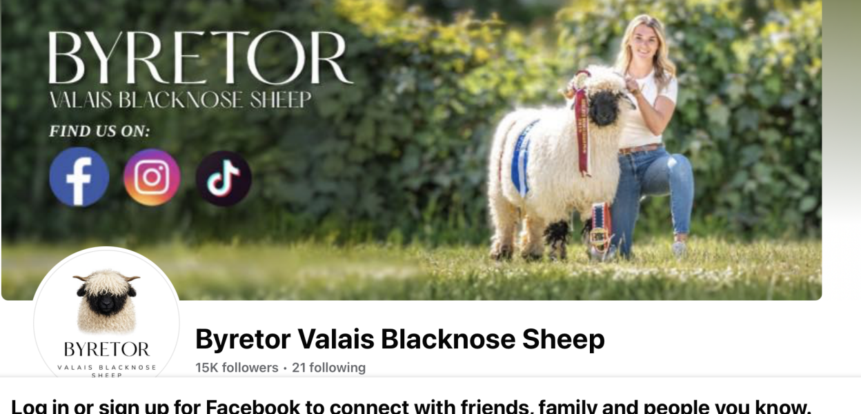 Bored of Peace? Let's Mambo! - Trump Thread #158