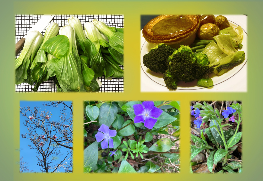 Year round Nigel Slater discussion thread - Part 3