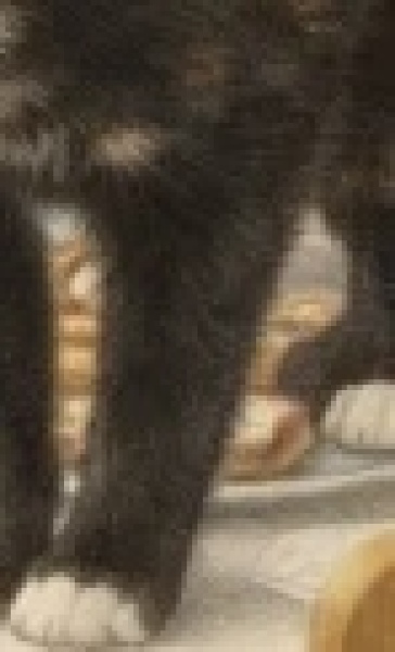 Woolly Hugs. A blanket for lovely wafflenose who has tragically lost her daughter. Can you help us please?