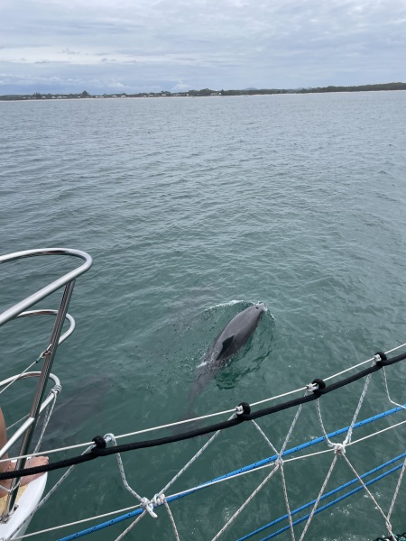 Daily Project Round 9