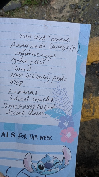 Who wrote the shopping list??!