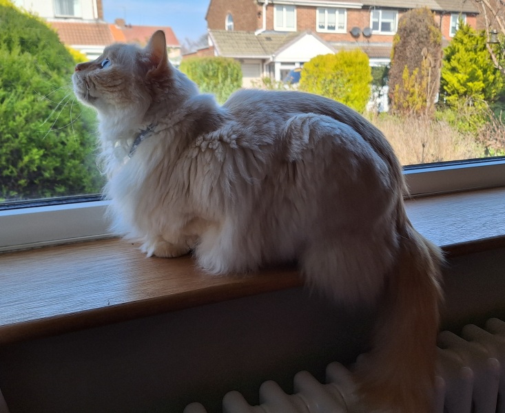 Year round Nigel Slater discussion thread - Part 3