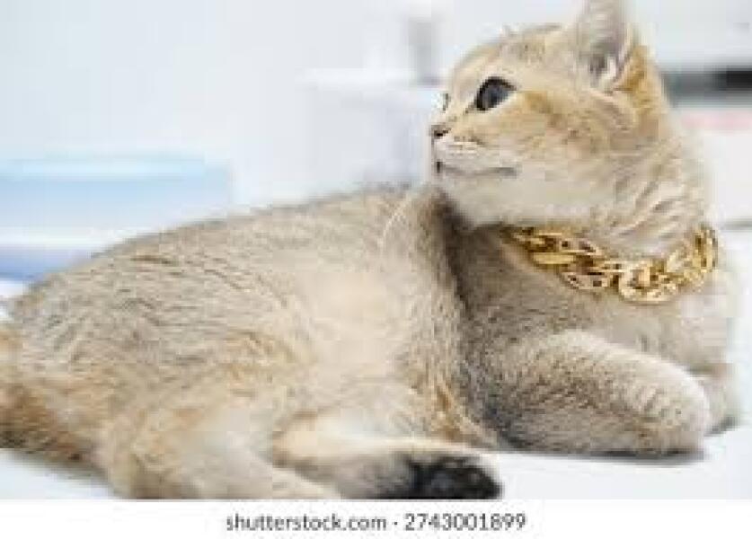 Tired of carrying my evening outfit in a bag under my desk!