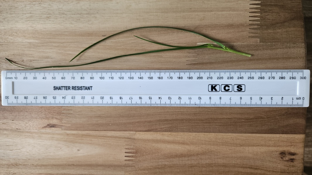 A suburban phenomenon?