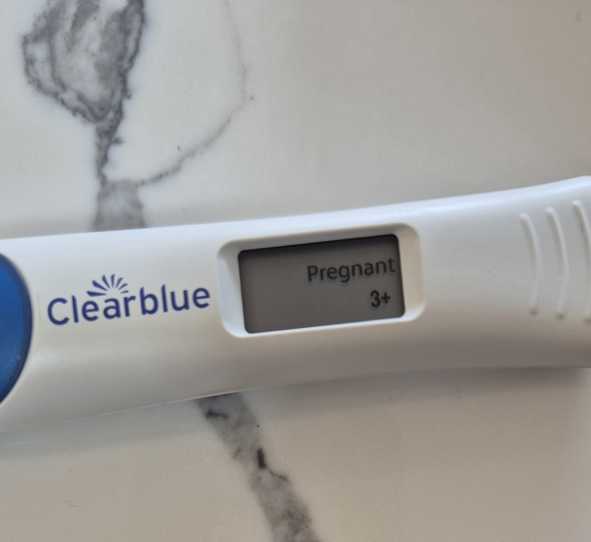 🎇 Due November 26 🎆