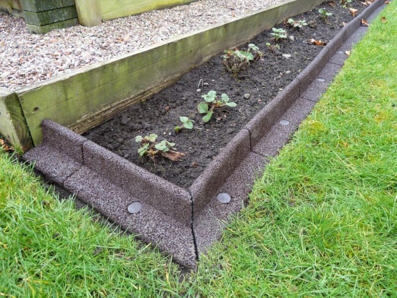 What would you plant here?