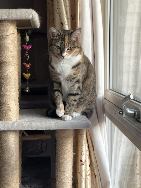 The Bluestocking  women's Pub- spring is sprunging and MN's name generator can do one!