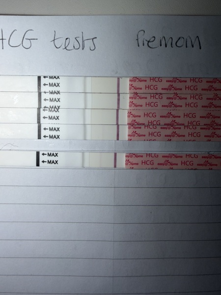 TTC / TWW Feb March 2026