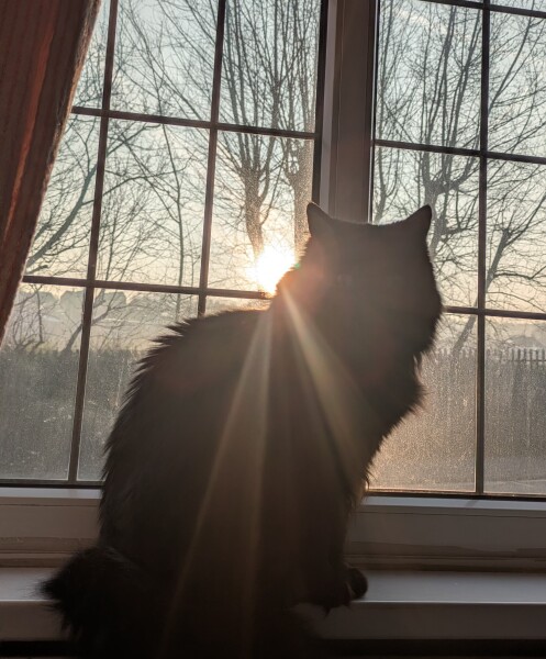 Year round Nigel Slater discussion thread - Part 3