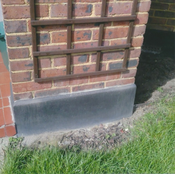 Soil for climber one foot away from trellis. Doable?