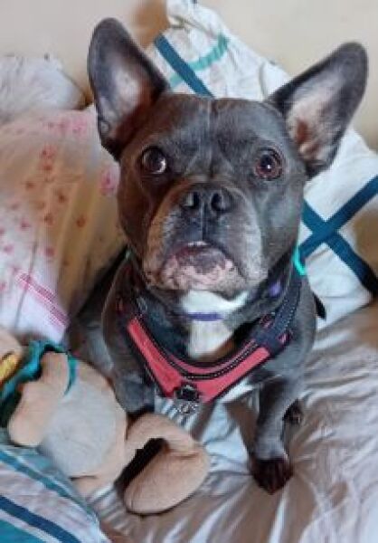 The Continuing Support Thread for Anyone Trying to Lead an Alcohol-Free Life Spring into Summer 2026