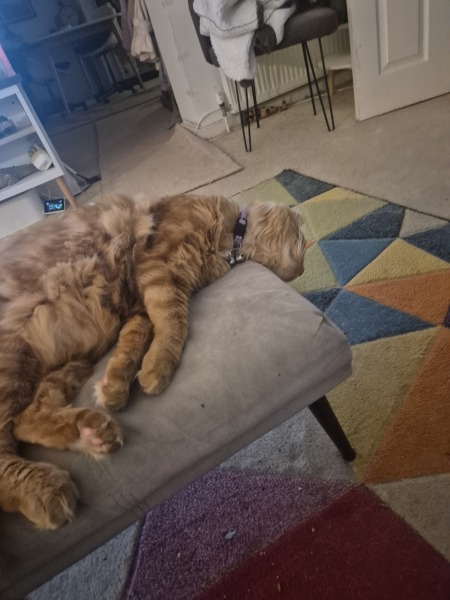 Name help for our new boy!
