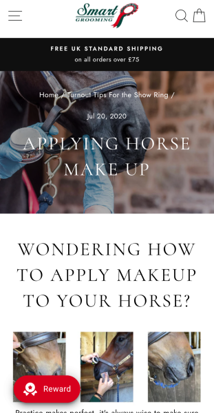 Gift ideas for a horse and makeup loving teenage girl?