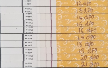 21 DPO line progression and weeks indicator after previous blighted ovum