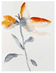 In which area (visual art) do I have more skill?