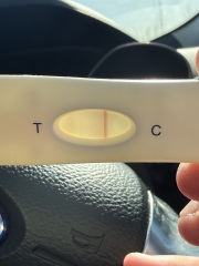 Multiple faint pregnancy test lines over several days, evap or positive?