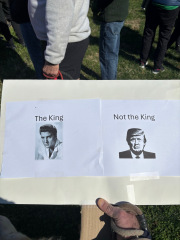 Bored of Peace? Let's Mambo! - Trump Thread #158