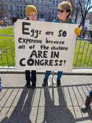 Bored of Peace? Let's Mambo! - Trump Thread #158