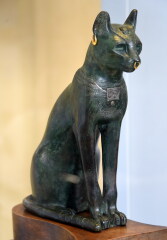 Wolves in people’s houses
