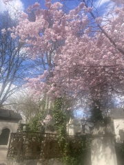 Year round Nigel Slater discussion thread - Part 3