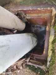 Advice on damp smell and possible water under our 1930s semi