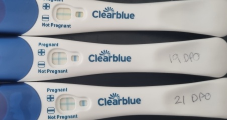 21 DPO line progression and weeks indicator after previous blighted ovum