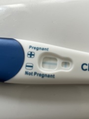 Are these positive tests?!