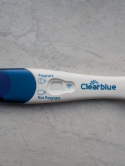 Early pregnancy test - negative?