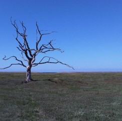 Thread 25 : To feel disappointed - and disgusted and vindicated now too - after reading this in The Observer about the author and her husband from The Salt Path book and film?