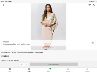 Help with wedding/party dress