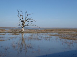 Thread 25 : To feel disappointed - and disgusted and vindicated now too - after reading this in The Observer about the author and her husband from The Salt Path book and film?