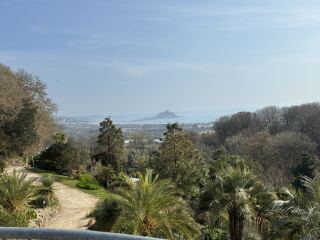 Year round Nigel Slater discussion thread - Part 3