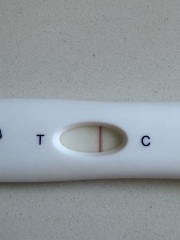 Multiple faint pregnancy test lines over several days, evap or positive?