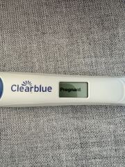 🎇 Due November 26 🎆