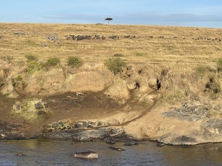 Safari next October - where do I start?