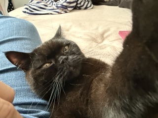 Hello from Charlie