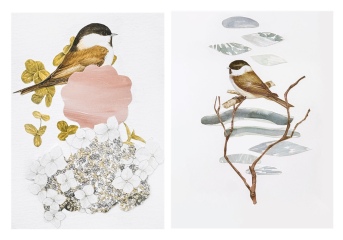 In which area (visual art) do I have more skill?