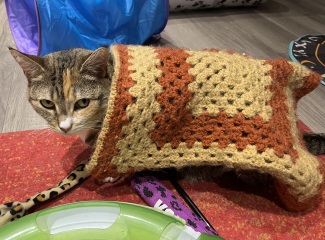 Tired of carrying my evening outfit in a bag under my desk!