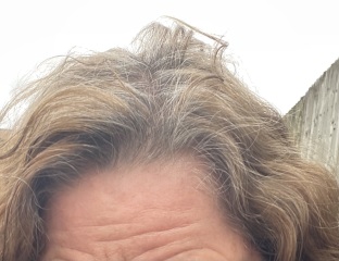 Going grey - how to do no more dye? Temp ? Toning?