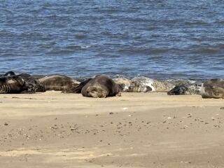 Things to do/see in Norfolk