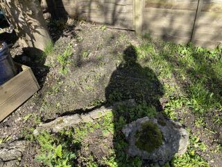 Ideas for a low water spot