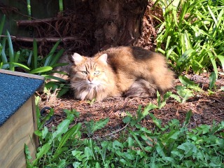 Year round Nigel Slater discussion thread - Part 3