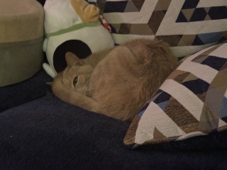 Come and tell us your dull and unexciting news 35: Calmly through the day