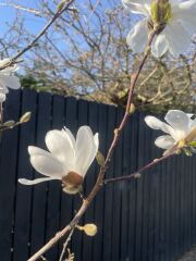 Year round Nigel Slater discussion thread - Part 3